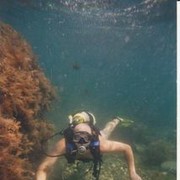 ���������� ��������������, ���� ������� ����, 44 ����, ������������ ��� ������, ����� � ���������, c�������� ���������