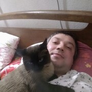  ,   , 41 ,   ,   
