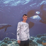 ���������� ������, ���� ������� Zarin, 35 ���, ������������ ��� ������, ���������