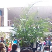 ���������� �����-���������, ���� ������� ������, 44 ����, ������������ ��� ������, ����� � ���������, c�������� ���������