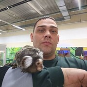 ���������� ������, ���� ������� �����, 40 ���, ������������ ��� ������, ����� � ���������, c�������� ���������