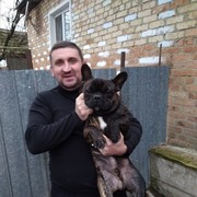 ���������� ������, ���� ������� ����, 43 ����, ������������ ��� ������, ����� � ���������, c�������� ���������