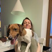 ���������� ������, ���� ������� �������, 42 ����, ������������ ��� c�������� ���������