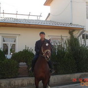  ,   EHSON, 40 ,     , c 