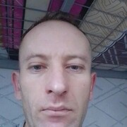  ,   , 41 ,  