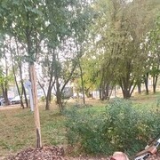 ���������� ������, ���� ������� �������, 63 ����, ������������ ��� ������, ����� � ���������, c�������� ���������, ���������