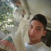  ,  , 23