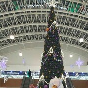 ,   , 31 ,   ,   , c 