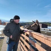 ���������� �������, ���� ������� ����, 44 ����, ������������ ��� c�������� ���������