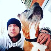 ���������� ���������, ���� ������� ������, 36 ���, ������������ ��� ������, ����� � ���������, c�������� ���������, ���������