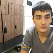  -,   , 41 ,  