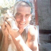  ,   Arni, 41 ,     , c 