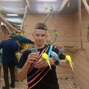 ���������� �����, ���� ������� �����, 28 ���, ������������ ��� ������, ����� � ���������, c�������� ���������, ���������