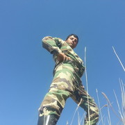  ,  Shakha, 31