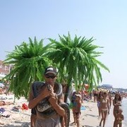 ���������� �����, ���� ������� ���, 43 ����, ������������ ��� ������, ����� � ���������, c�������� ���������, ���������