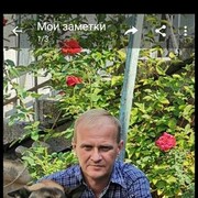  ,   , 53 ,   