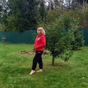 ���������� ����������, ���� ������� ��������, 54 ����, ������������ ��� c�������� ���������