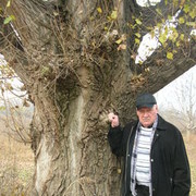 ���������� ������, ���� ������� ������, 74 ����, ������������ ��� ������, ����� � ���������, c�������� ���������