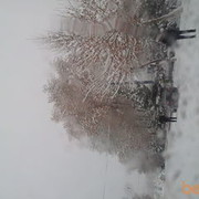 ���������� ���������, ���� ������� ���� 5212444, 42 ����, ������������ ��� ������