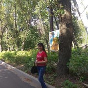 ���������� ��������, ���� ������� �������, 66 ���, ������������ ��� ������, ����� � ���������, c�������� ���������