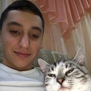 ���������� ������, ���� ����� ����, 24 ����, ������������ ��� ������, ����� � ���������, c�������� ���������