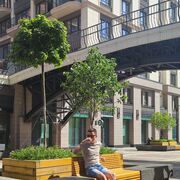 ���������� ���, ���� ������� �������, 29 ���, ������������ ��� ������, ����� � ���������