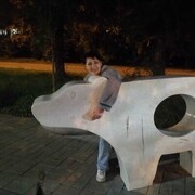 ���������� ������������, ���� ������� ����, 44 ����, ������������ ��� ������, ���������