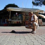  -,   , 63 ,   