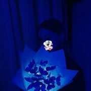 ���������� ������, ���� ������� ��������, 29 ���, ������������ ��� ������, ����� � ���������, c�������� ���������, ���������