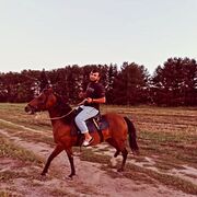 ���������� ������, ���� ����� ��������, 23 ����, ������������ ��� ������, ����� � ���������