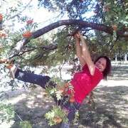  ,   , 48 ,   ,   , c 