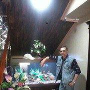  ,   , 52 ,   ,   , c 
