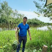 ���������� ������������, ���� ������� �������, 41 ���, ������������ ��� ������, ����� � ���������