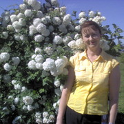  ,   , 60 ,   ,   , c 
