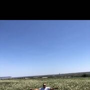 ���������� ����������, ���� ������� ������, 41 ���, ������������ ��� ������, ����� � ���������, c�������� ���������, ���������