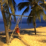 ���������� ������, ���� ������� �������, 40 ���, ������������ ��� ������, ����� � ���������, c�������� ���������