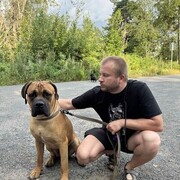 ���������� �������, ���� ������� ������, 40 ���, ������������ ��� ������, ���������