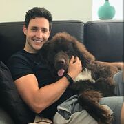 ���������� ������, ���� ������� Sash, 30 ���, ������������ ��� ������, ����� � ���������, c�������� ���������, ���������