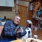  ,   , 49 ,   ,   