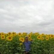  ,   , 51 ,   ,   , c 
