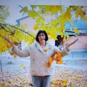 ���������� ���������, ���� ������� �������, 61 ���, ������������ ��� c�������� ���������