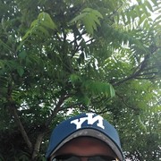 ���������� �����, ���� ������� ����, 40 ���, ������������ ��� ������, ����� � ���������, c�������� ���������