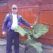  ,   , 52 ,  