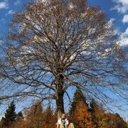 ���������� �������, ���� ����� Luka, 24 ����, ������������ ��� ������, ����� � ���������