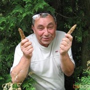  ,   , 67 ,   