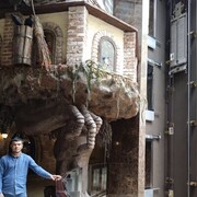 ���������� ���������, ������� ����������, 30