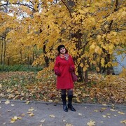 ���������� �����������, ���� ������� ������, 53 ����, ������������ ��� ����� � ���������, c�������� ���������