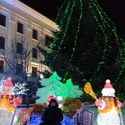 ���������� ���������, ���� ������� �����, 40 ���, ������������ ��� ������, ����� � ���������