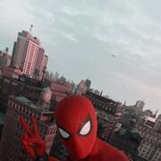  ,  , 29