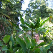 ���������� �������, ���� ������� ����, 41 ���, ������������ ��� ������